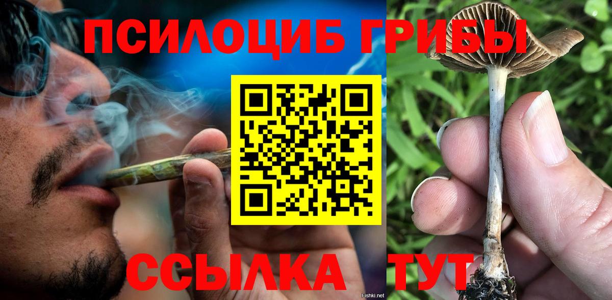 Псилоцибиновые грибы Psilocybe Усолье-Сибирское
