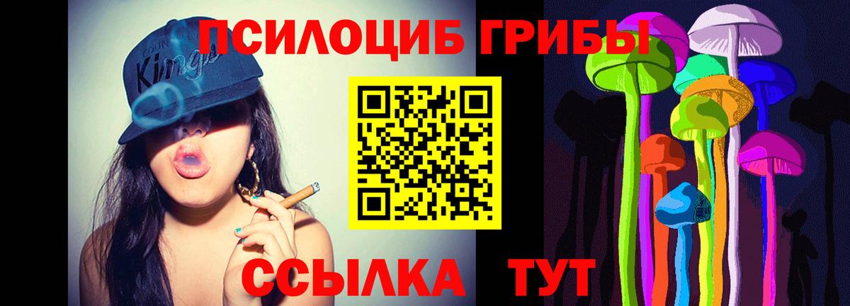 Галлюциногенные грибы прущие грибы  Вход с VPN  Усолье-Сибирское 